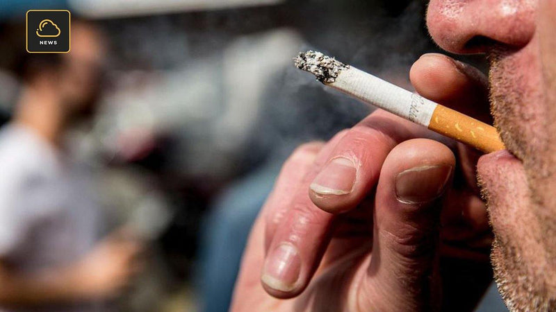 Tabac : sa consommation a explosé pendant le confinement - VAP|LAB Loire Atlantique