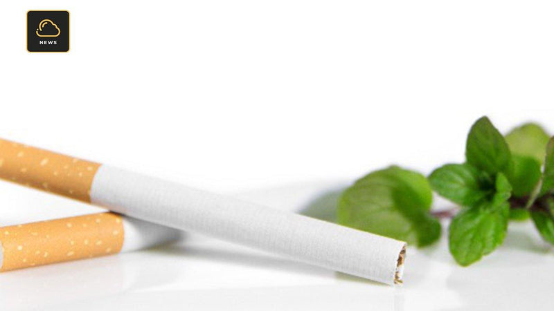 Interdiction des cigarettes mentholées : un grand nombre de fumeurs pourrait en profiter pour passer à la vape - VAP|LAB Loire Atlantique
